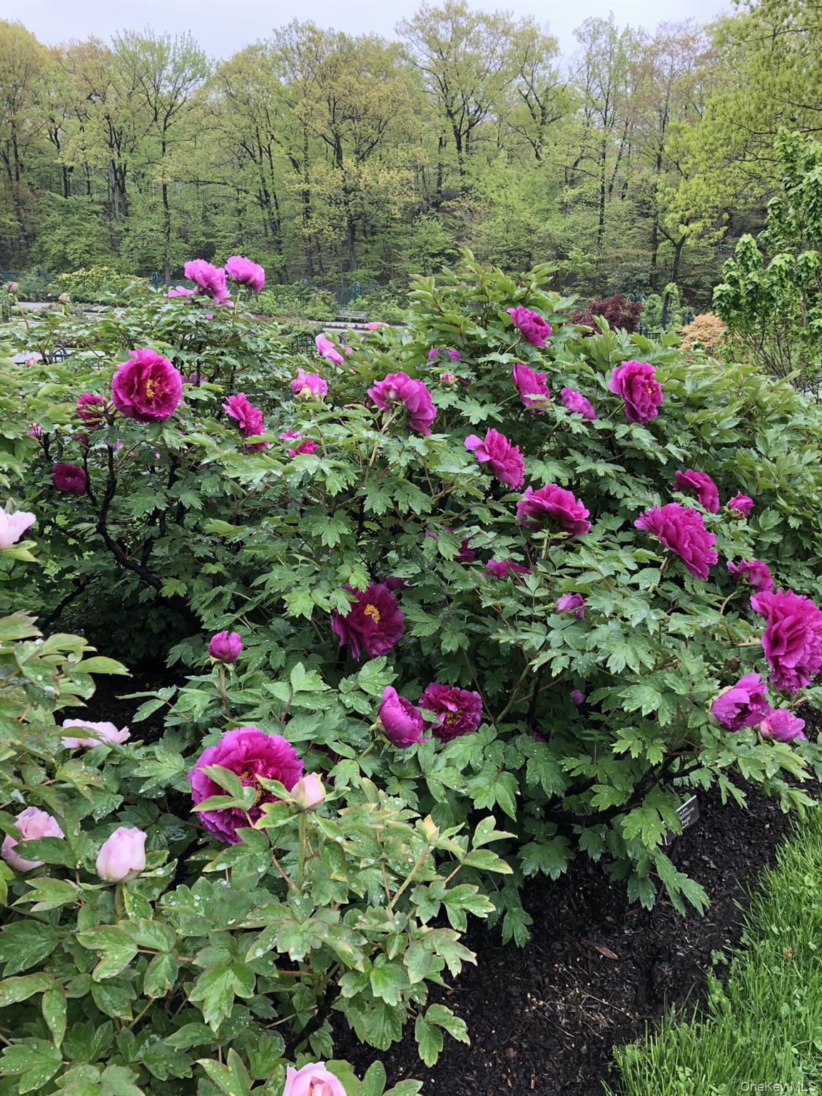 2385 Barker Avenue # 5L, Bronx, NY 10467