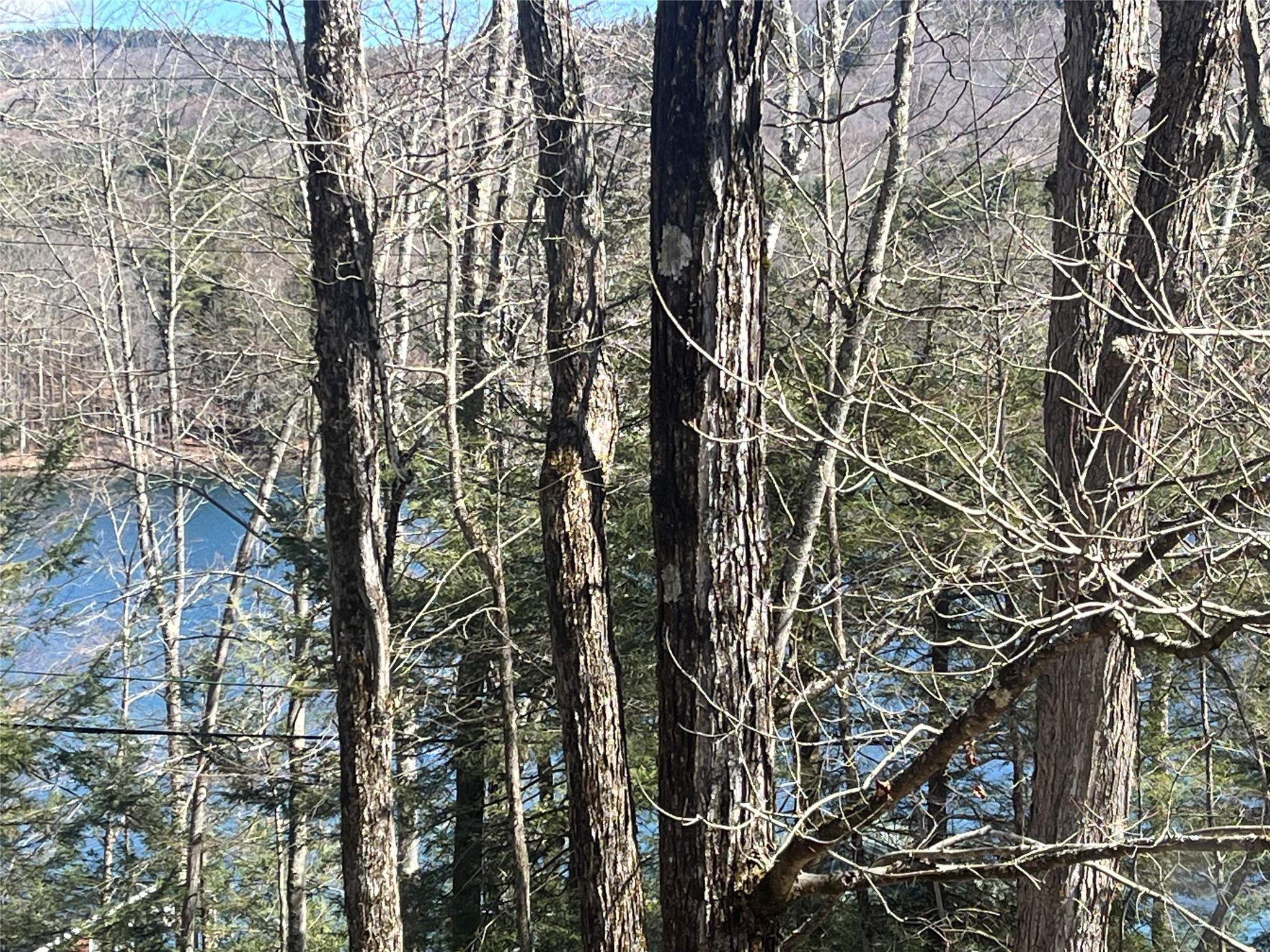 105 McNamee Road, Canaan, NY 12029