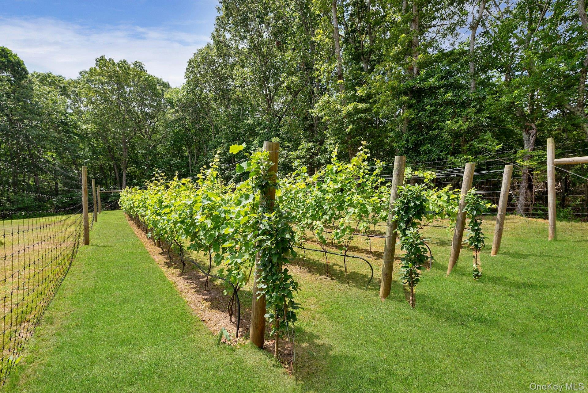 2905 Private Road, East Marion, NY 11939