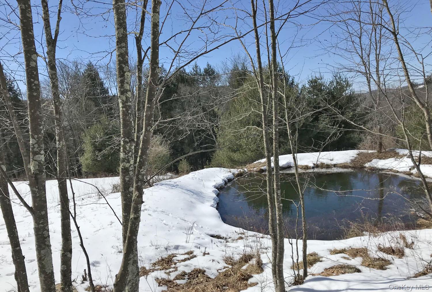 80 Overlook Drive, Callicoon, NY 12723