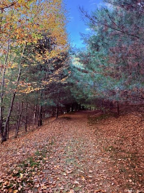 80 Overlook Drive, Callicoon, NY 12723