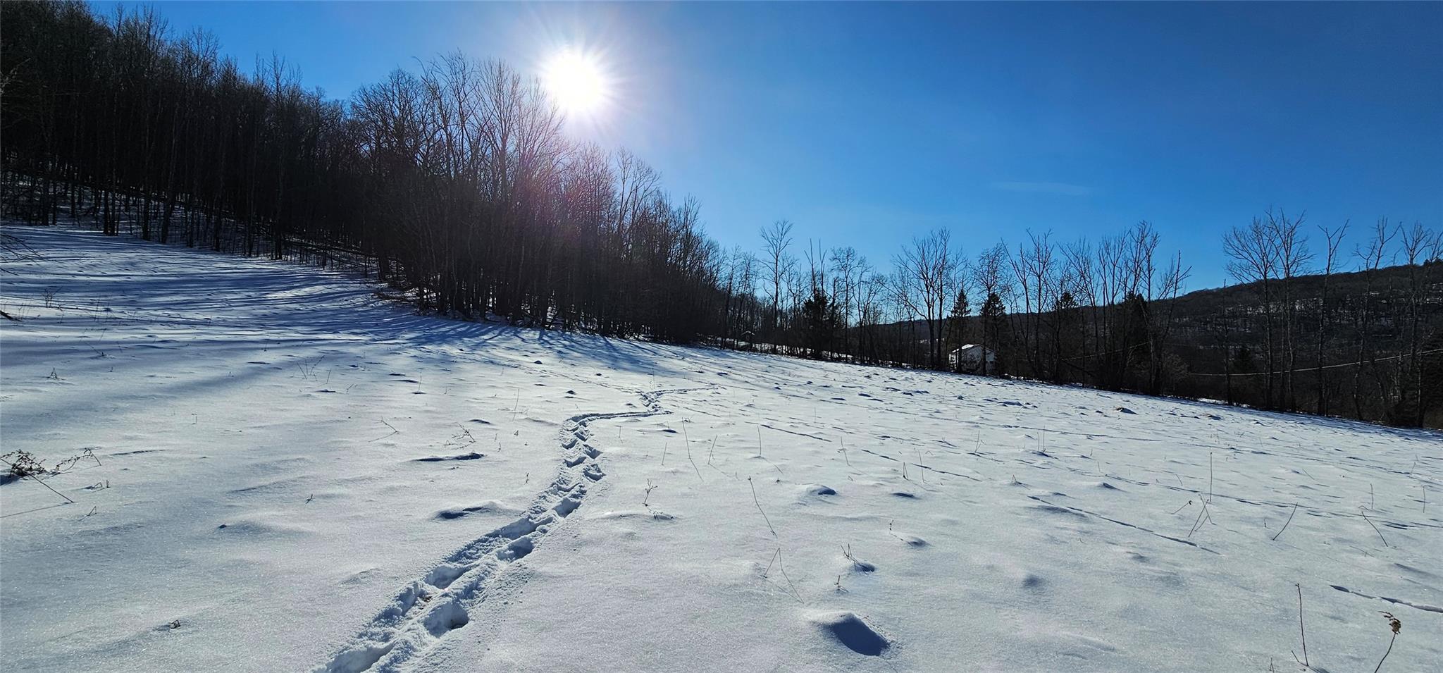 Lot 7.4 Hankins Road, Hankins, NY 12736