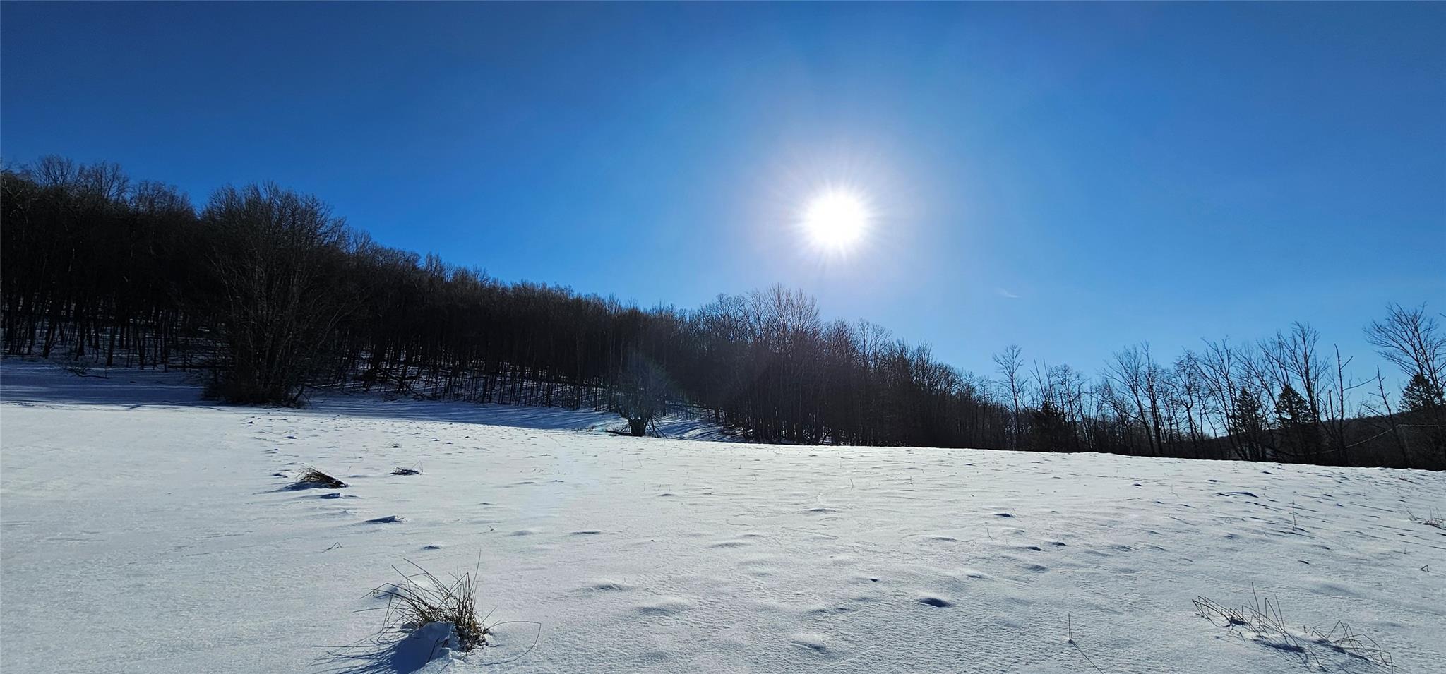 Lot 7.4 Hankins Road, Hankins, NY 12736