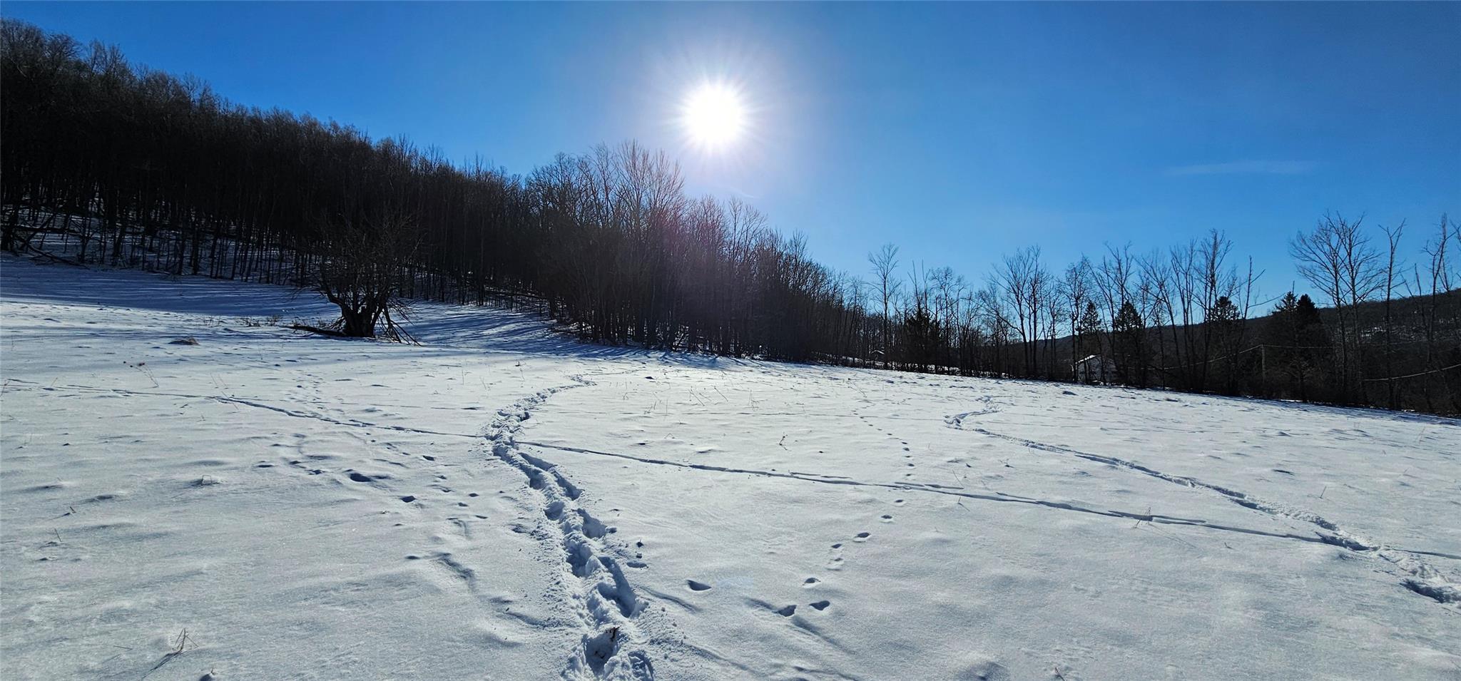 Lot 7.4 Hankins Road, Hankins, NY 12736