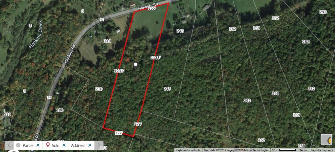 Lot 7.4 Hankins Road, Hankins, NY 12736