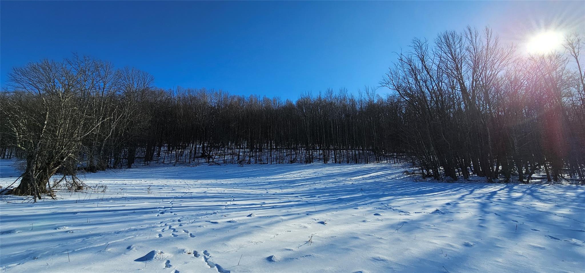 Lot 7.4 Hankins Road, Hankins, NY 12736