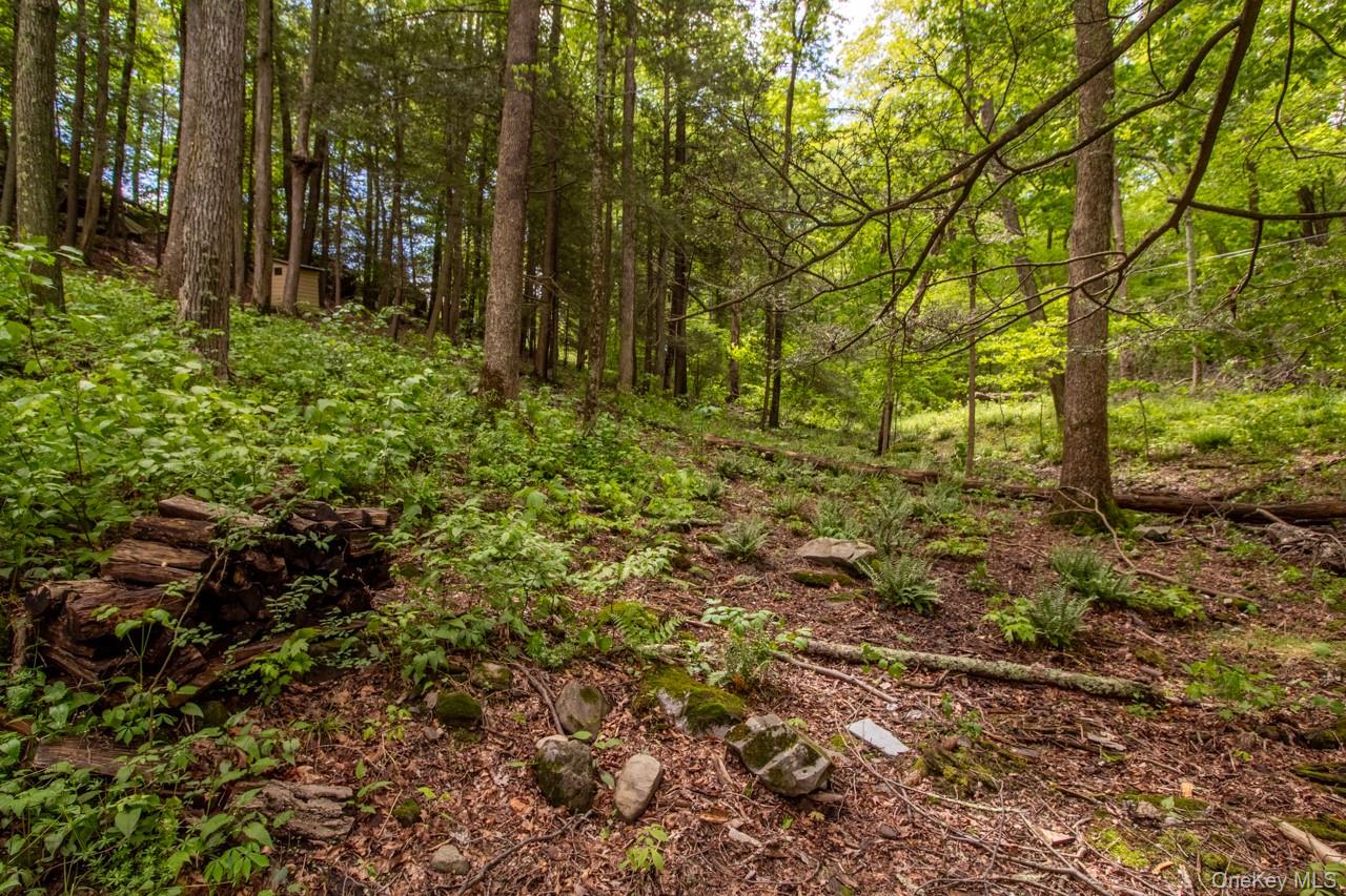 58 Cottage Court, West Park, NY 12493