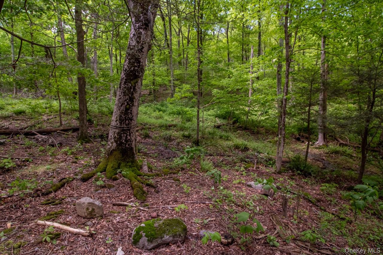 58 Cottage Court, West Park, NY 12493