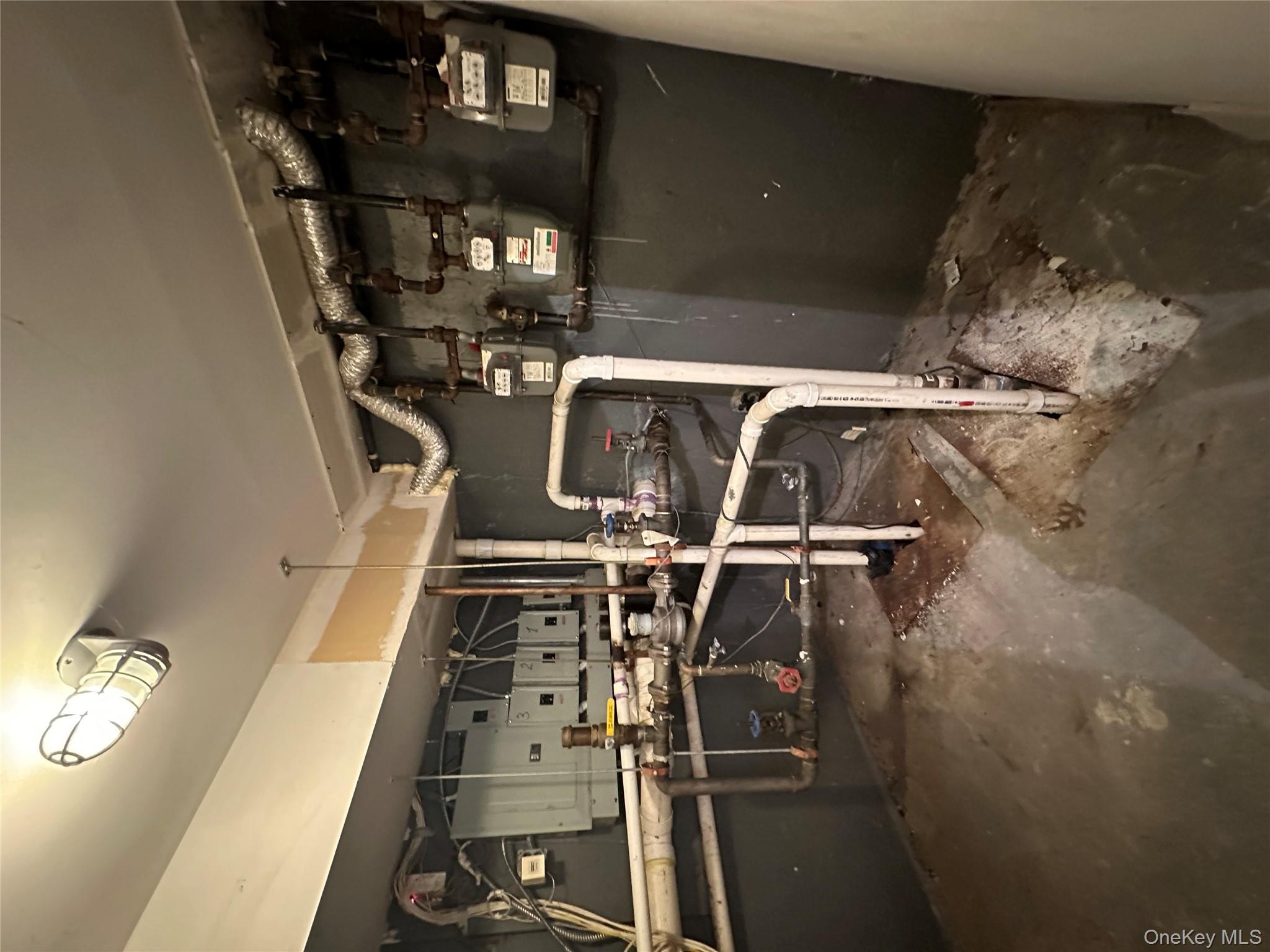 807 Barbey, Brooklyn, NY 11207