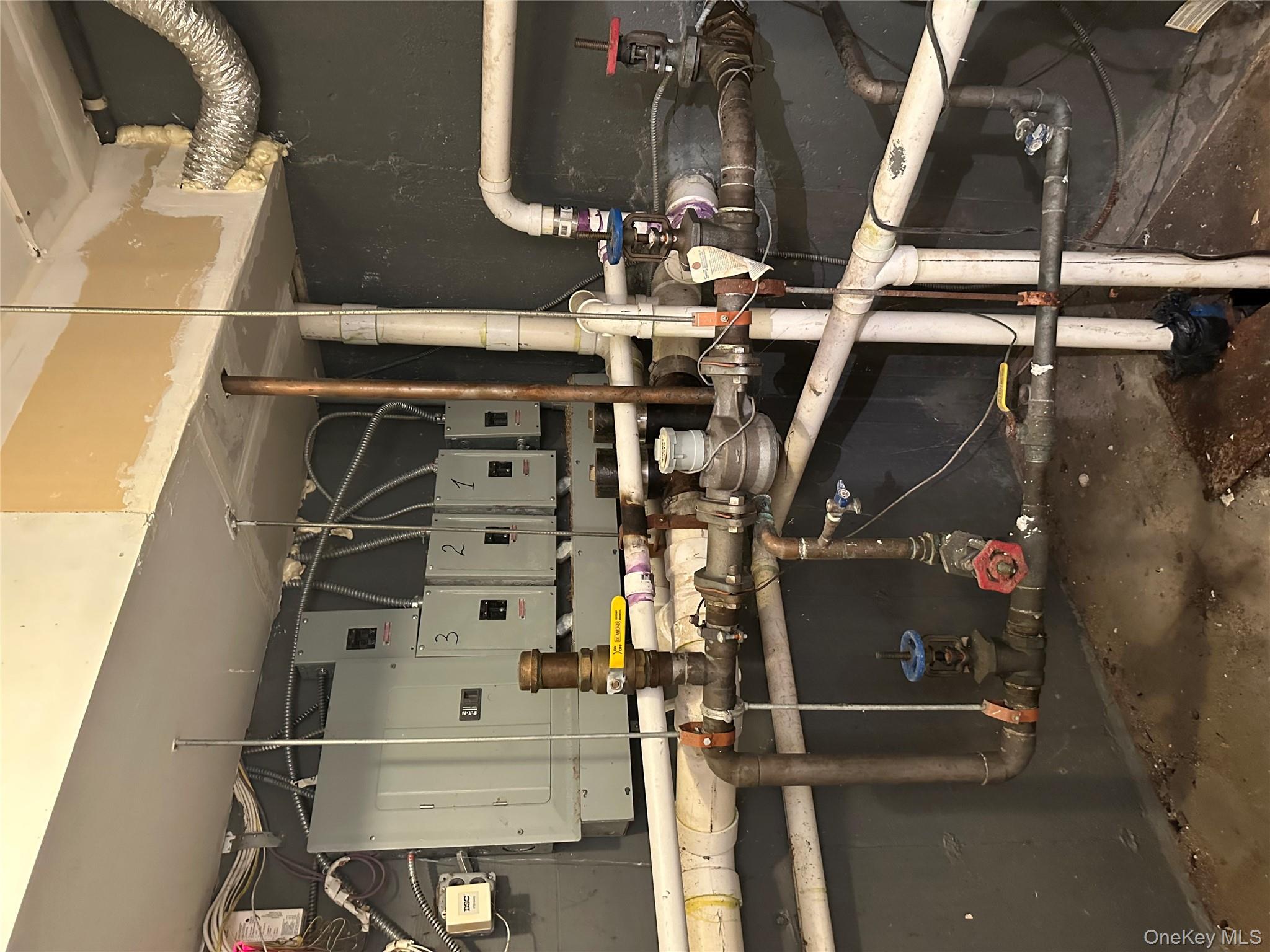 807 Barbey, Brooklyn, NY 11207