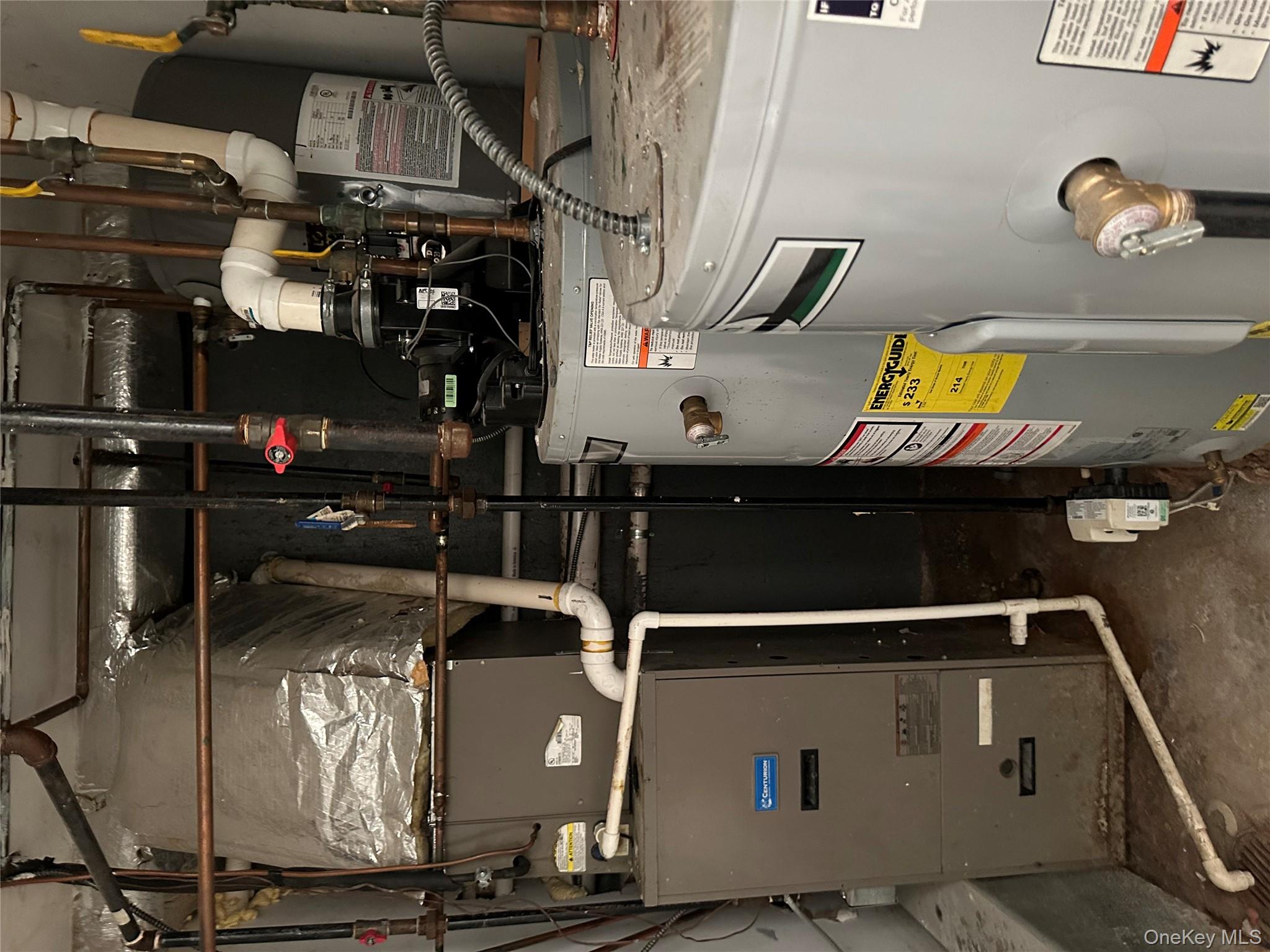 807 Barbey, Brooklyn, NY 11207