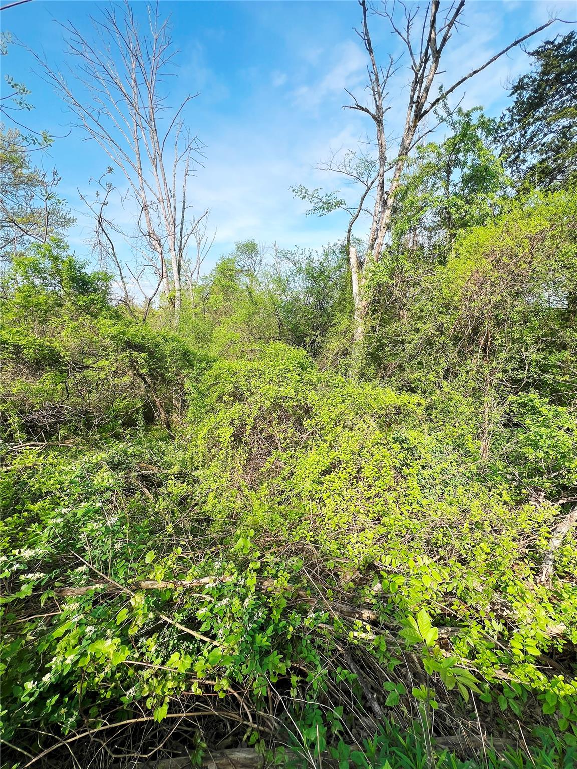 160 Tommy Trail, Coxsackie, NY 12051