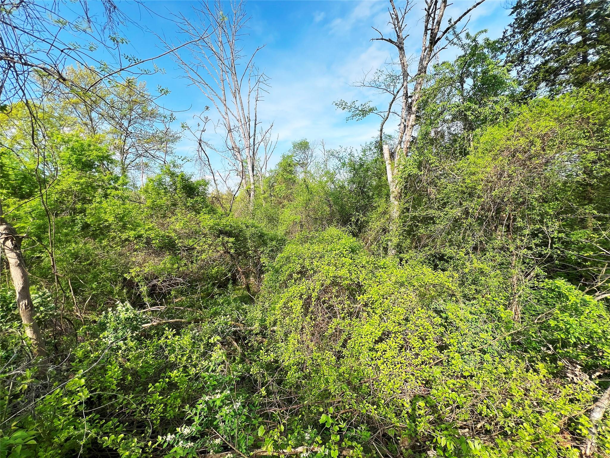 160 Tommy Trail, Coxsackie, NY 12051