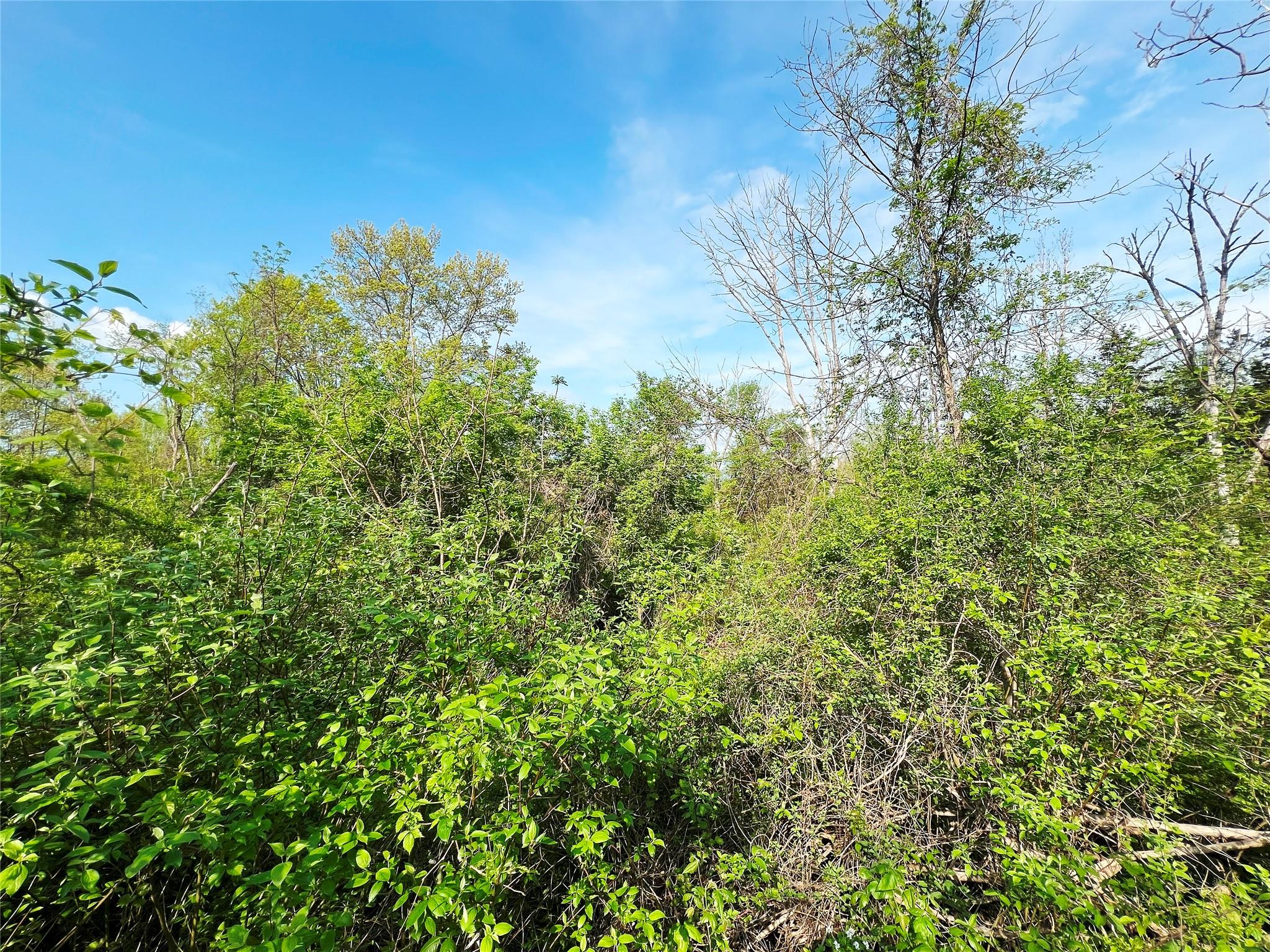 160 Tommy Trail, Coxsackie, NY 12051