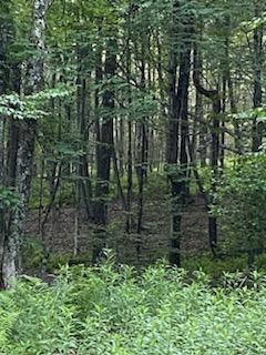 0 Stump Pond Road, Callicoon Center, NY 12724