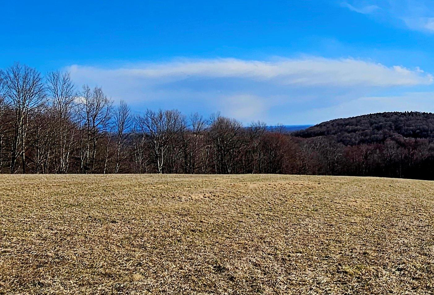 0 Stump Pond Road, Callicoon Center, NY 12724