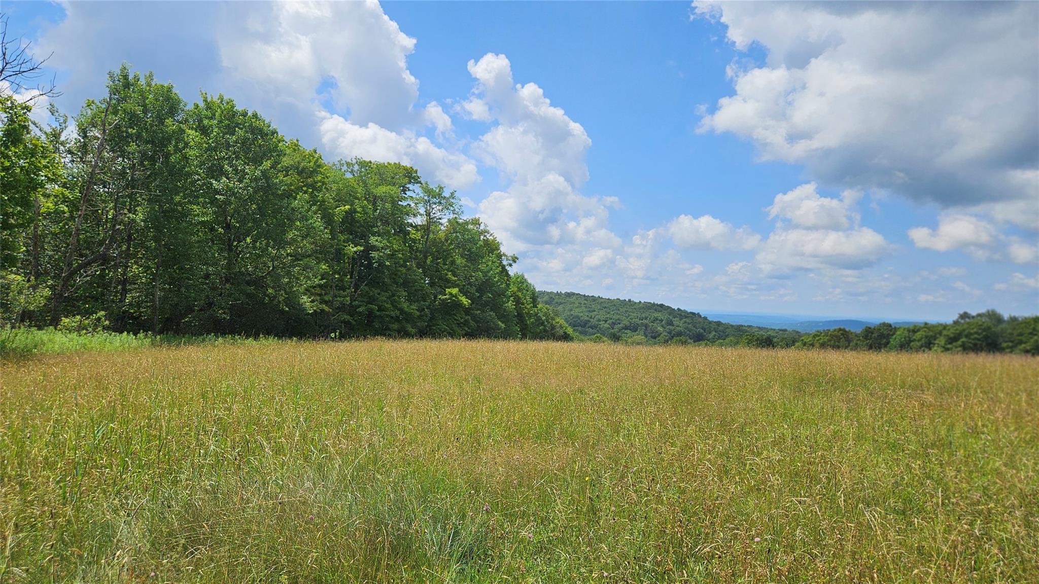 0 Stump Pond Road, Callicoon Center, NY 12724