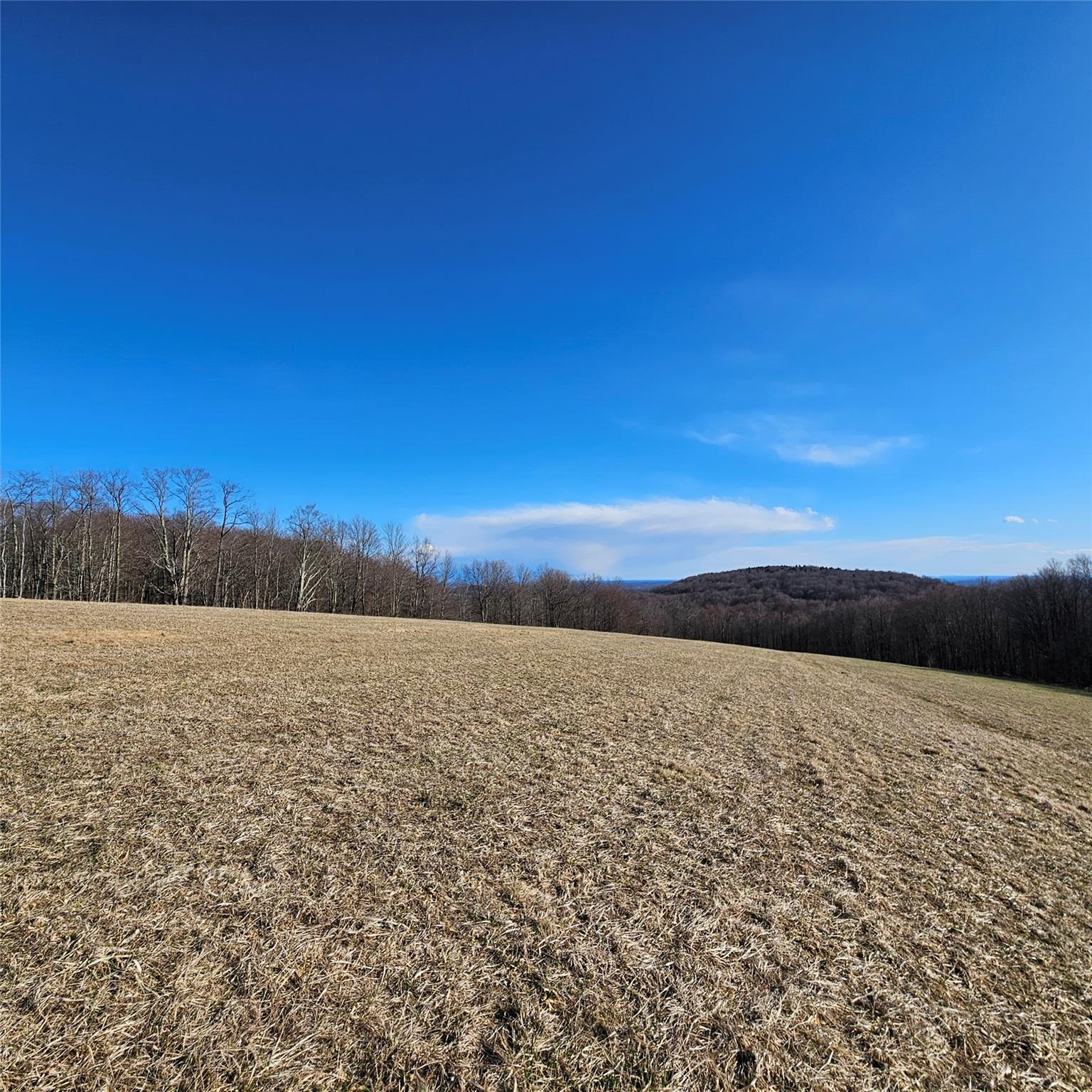 0 Stump Pond Road, Callicoon Center, NY 12724