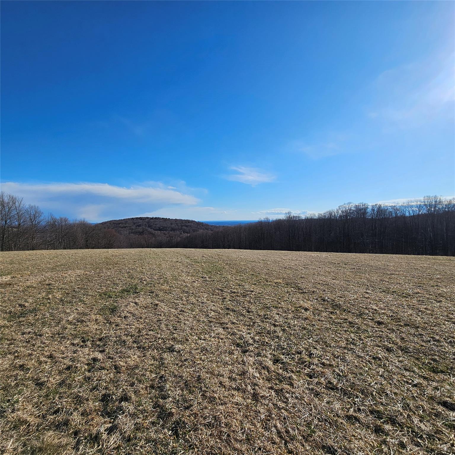 0 Stump Pond Road, Callicoon Center, NY 12724