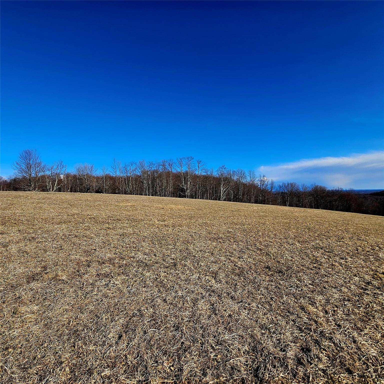 0 Stump Pond Road, Callicoon Center, NY 12724