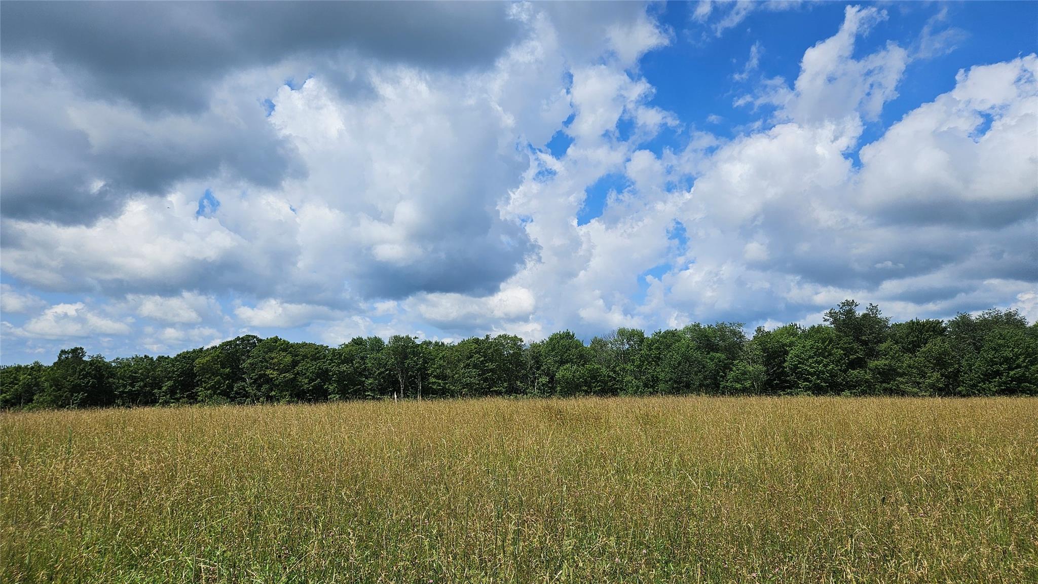 0 Stump Pond Road, Callicoon Center, NY 12724