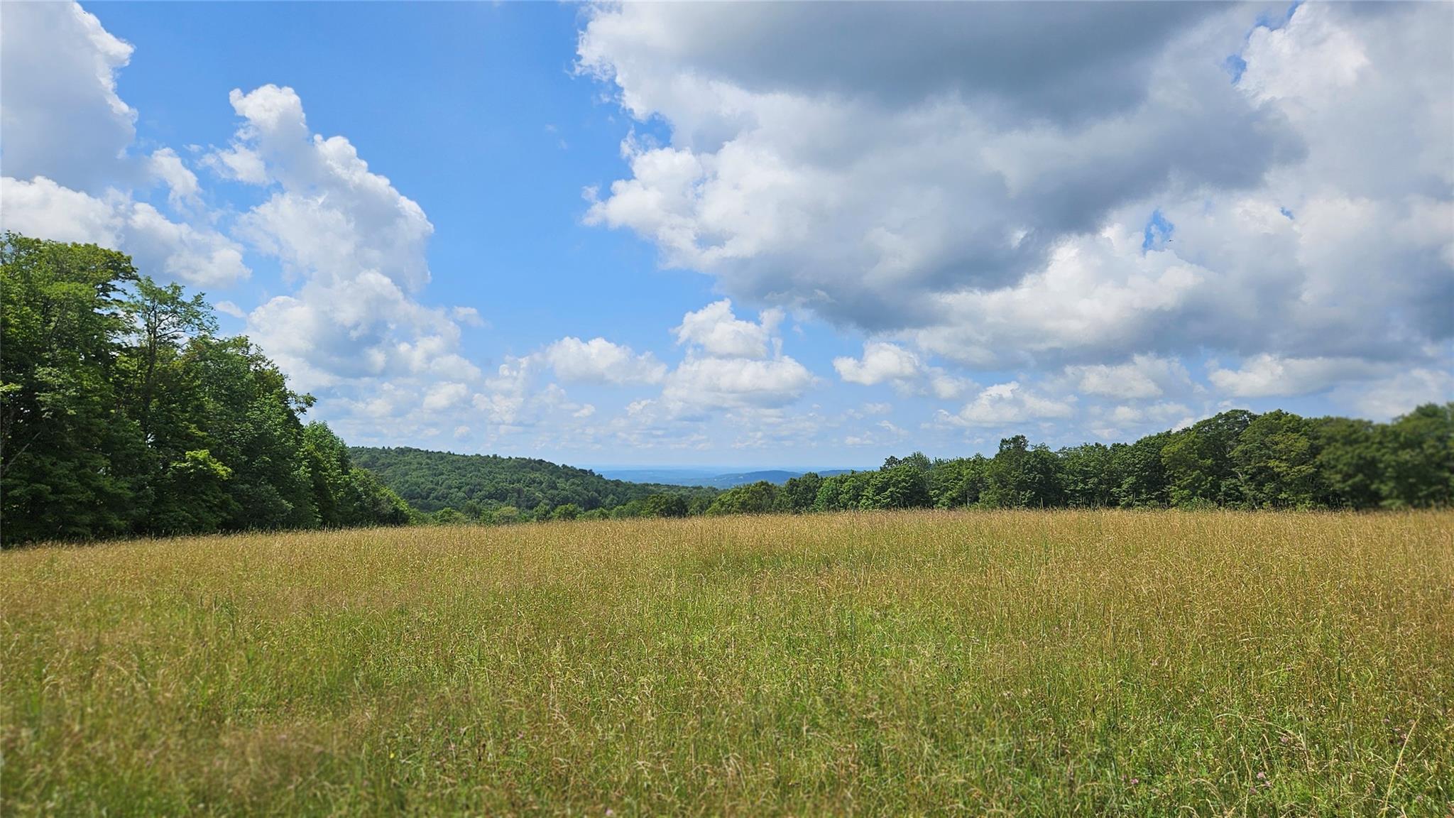 0 Stump Pond Road, Callicoon Center, NY 12724