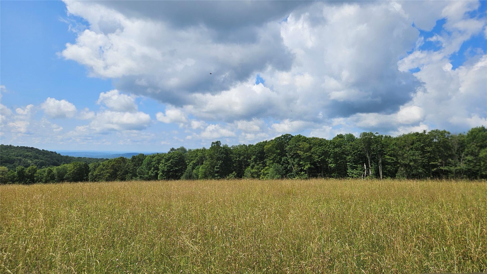 0 Stump Pond Road, Callicoon Center, NY 12724