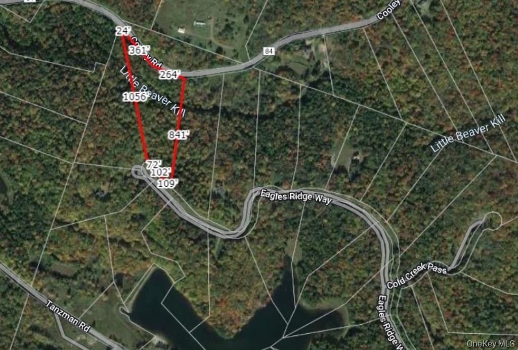 172 Eagles Ridge Way, Parksville, NY 12768