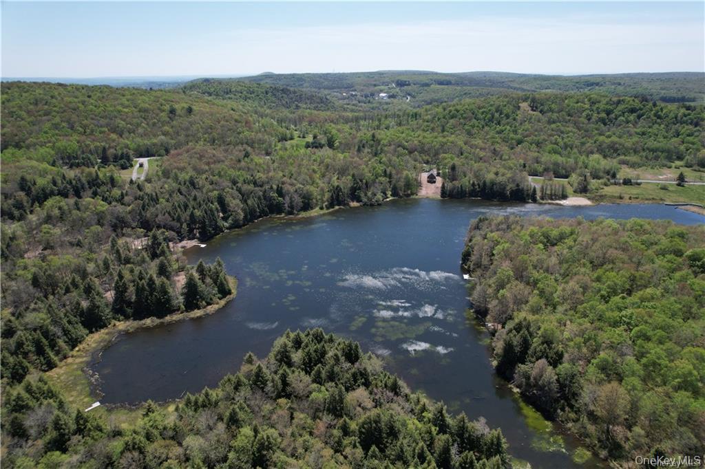 172 Eagles Ridge Way, Parksville, NY 12768