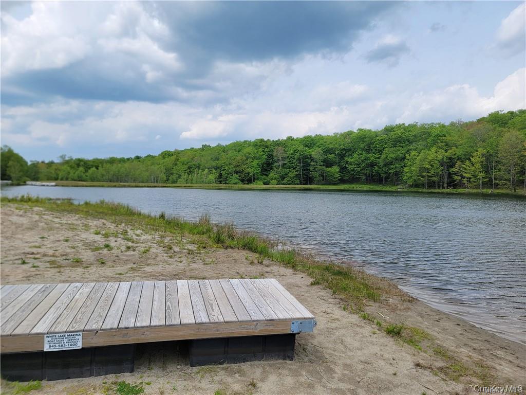 172 Eagles Ridge Way, Parksville, NY 12768