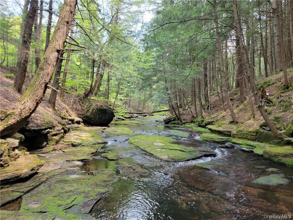 172 Eagles Ridge Way, Parksville, NY 12768