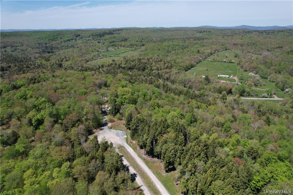 172 Eagles Ridge Way, Parksville, NY 12768