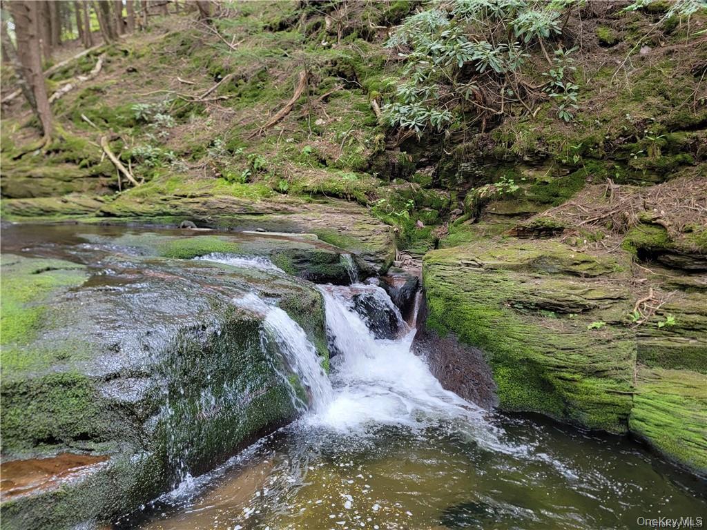 172 Eagles Ridge Way, Parksville, NY 12768