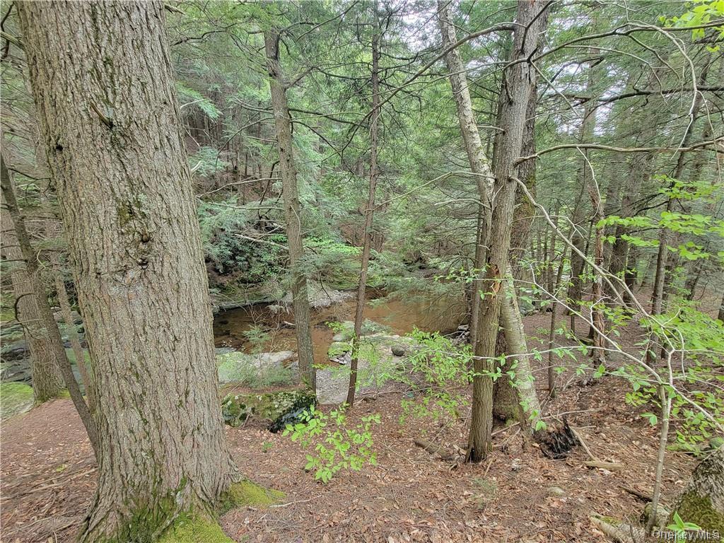 172 Eagles Ridge Way, Parksville, NY 12768