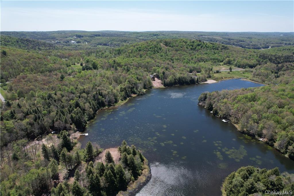 172 Eagles Ridge Way, Parksville, NY 12768