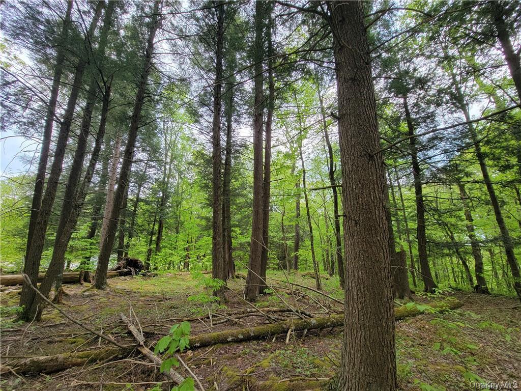 172 Eagles Ridge Way, Parksville, NY 12768