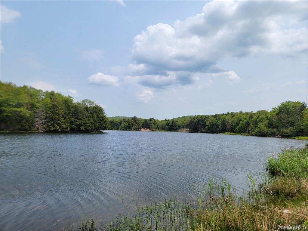 172 Eagles Ridge Way, Parksville, NY 12768