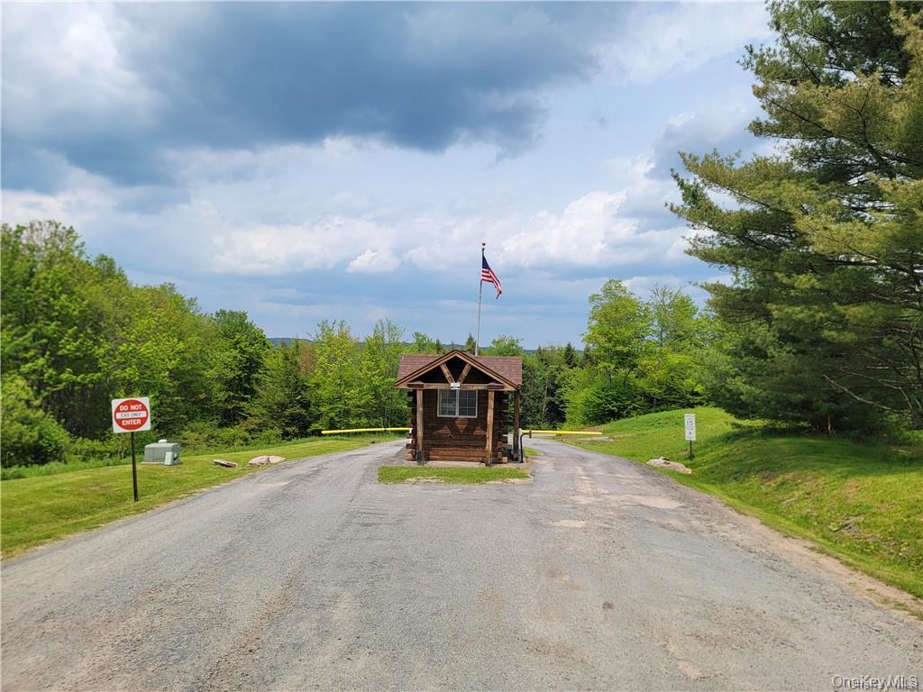 172 Eagles Ridge Way, Parksville, NY 12768