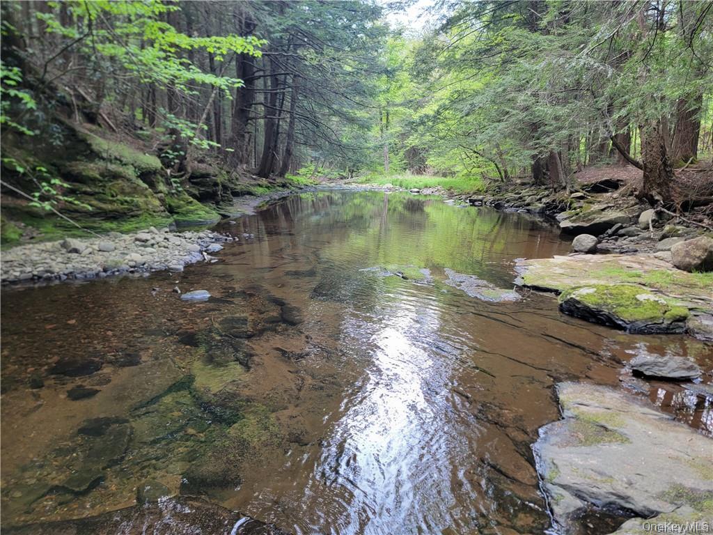 172 Eagles Ridge Way, Parksville, NY 12768