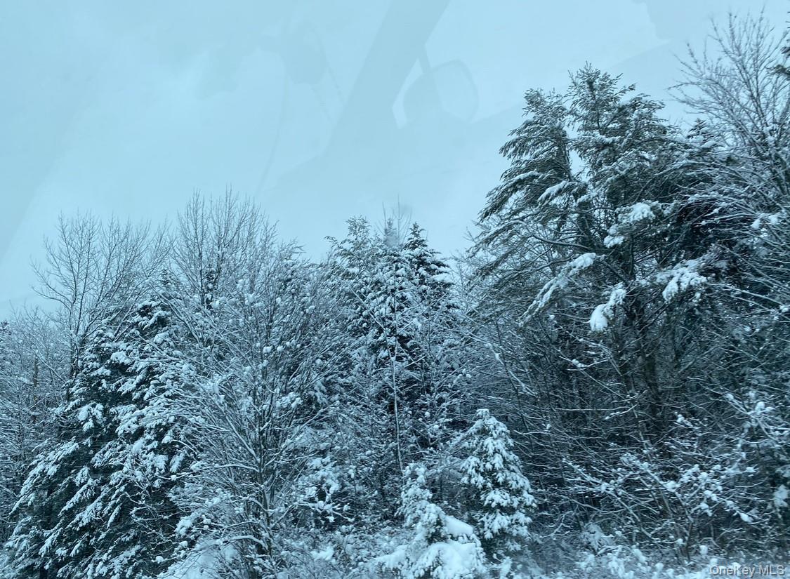 64 Seaman Road, Middletown, NY 10941