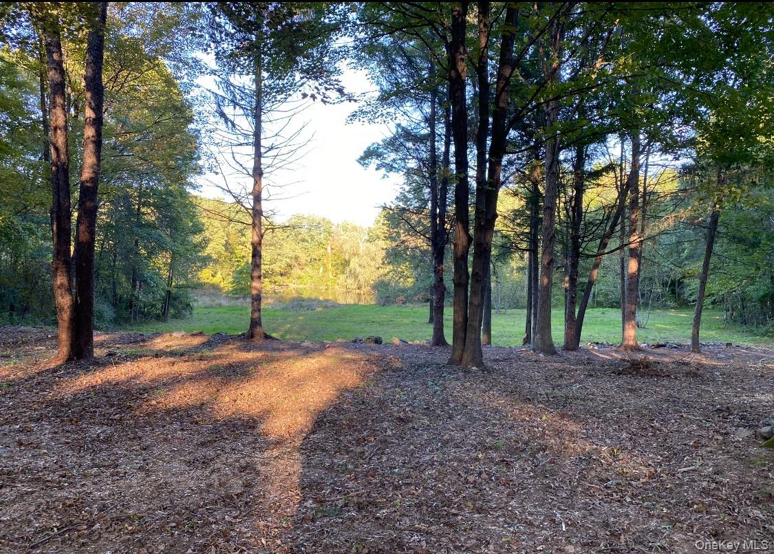 64 Seaman Road, Middletown, NY 10941