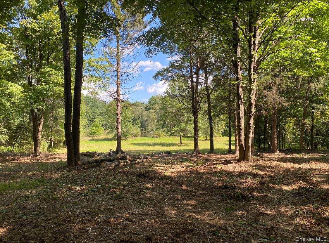 64 Seaman Road, Middletown, NY 10941