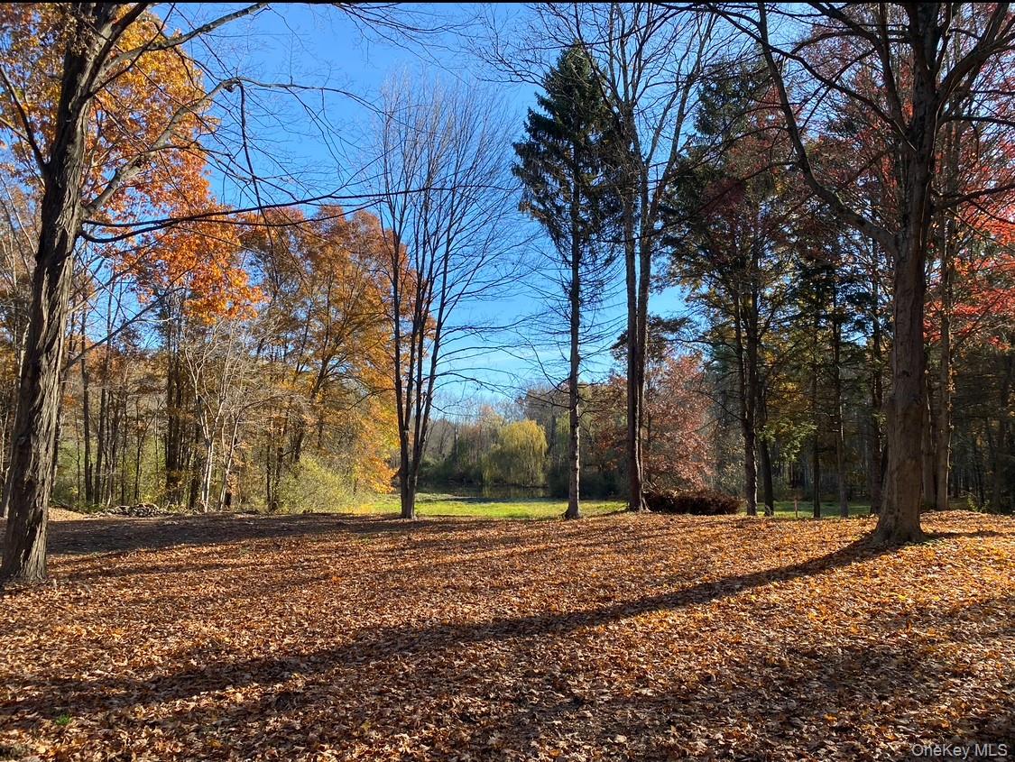 64 Seaman Road, Middletown, NY 10941