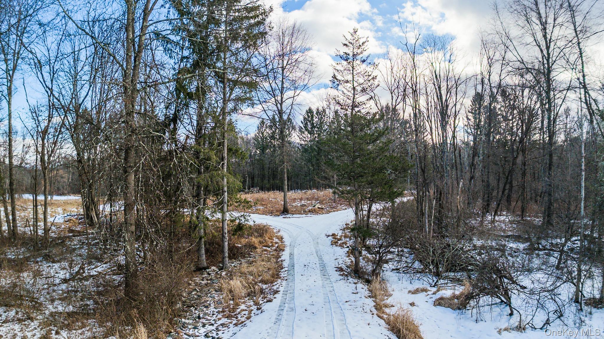 64 Seaman Road, Middletown, NY 10941