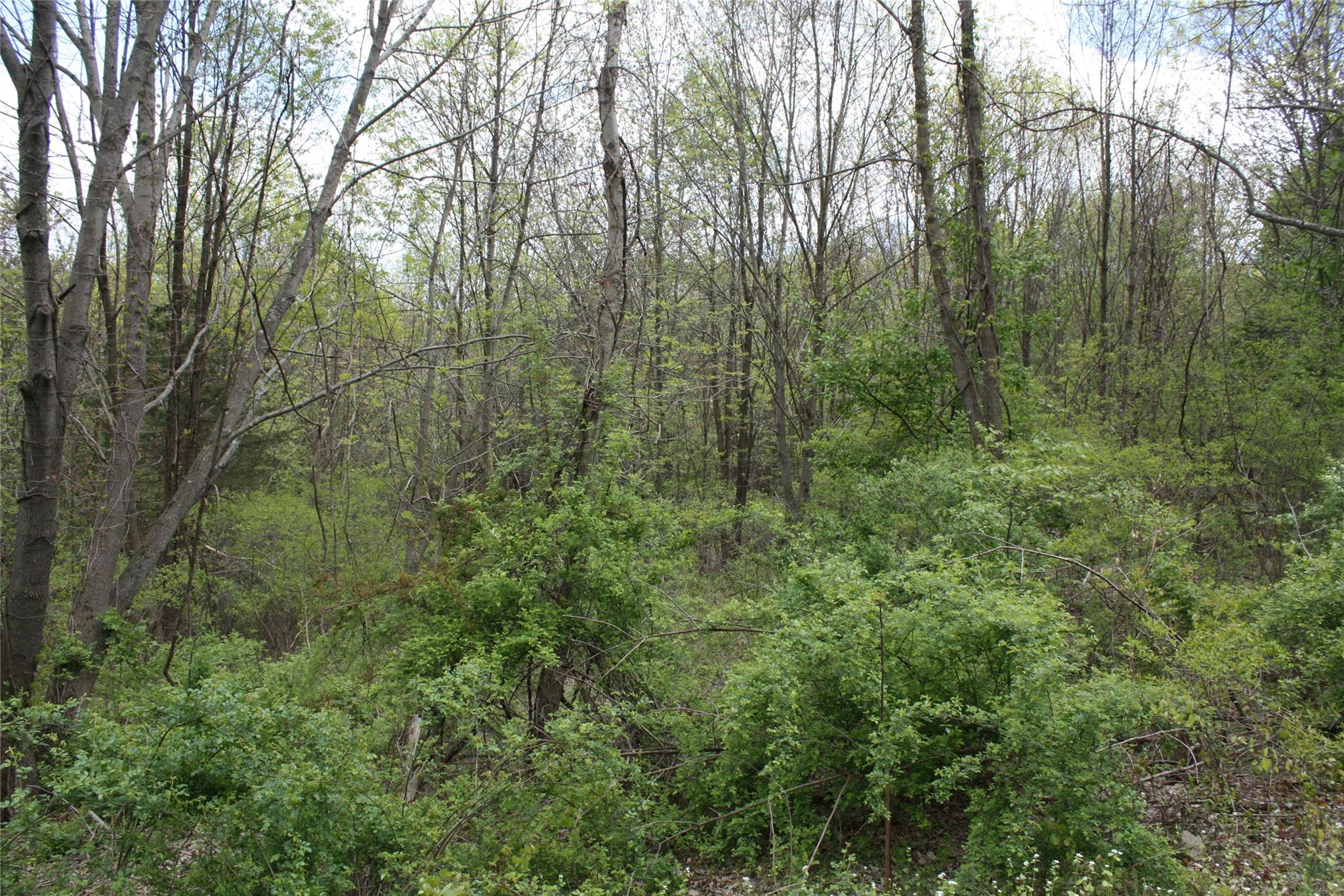 Mountain Road, Port Jervis, NY 12771