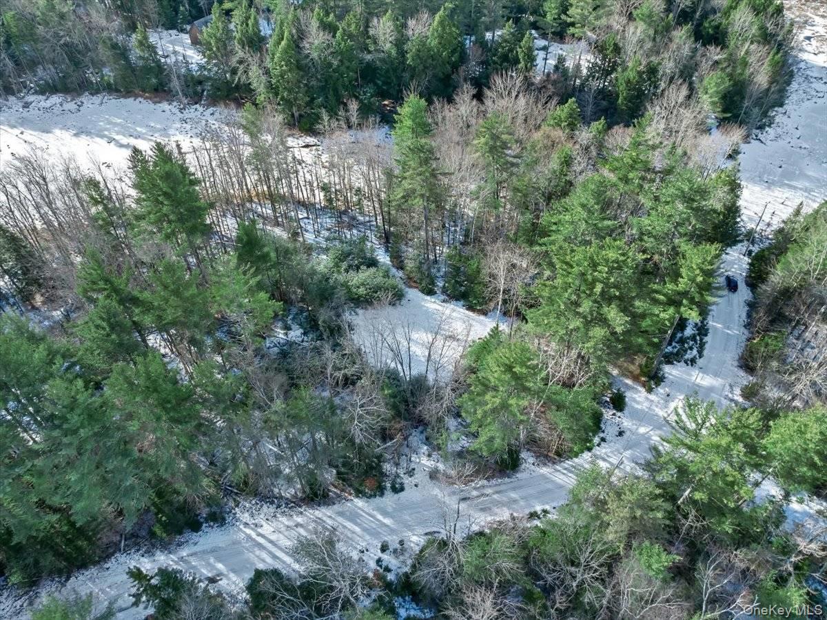 321 Antler Lake Road, Call Listing Agent, NY 12886