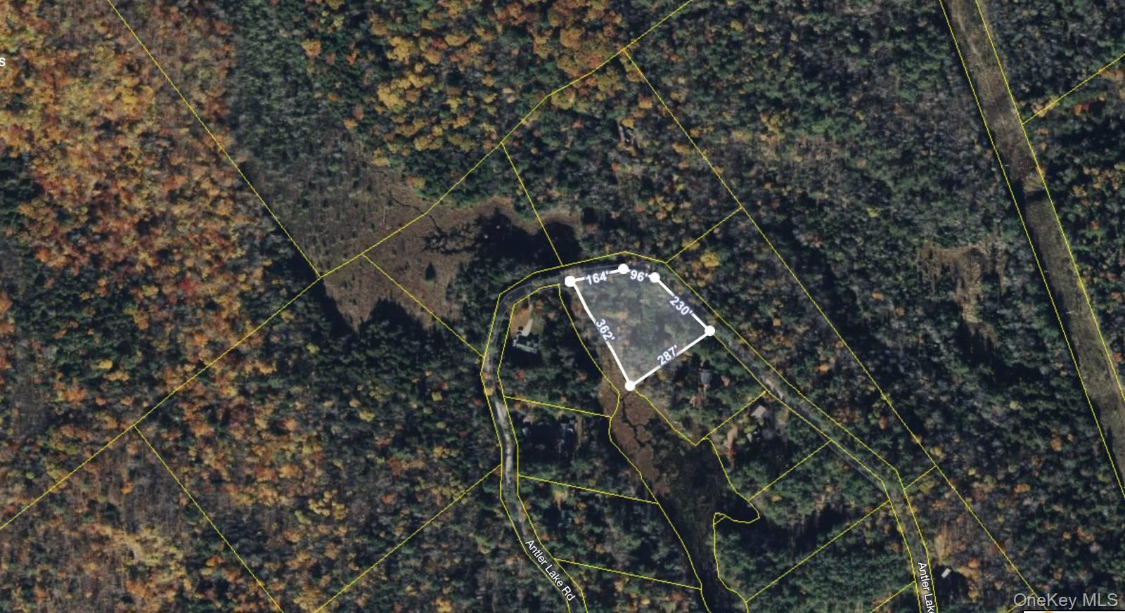 321 Antler Lake Road, Call Listing Agent, NY 12886