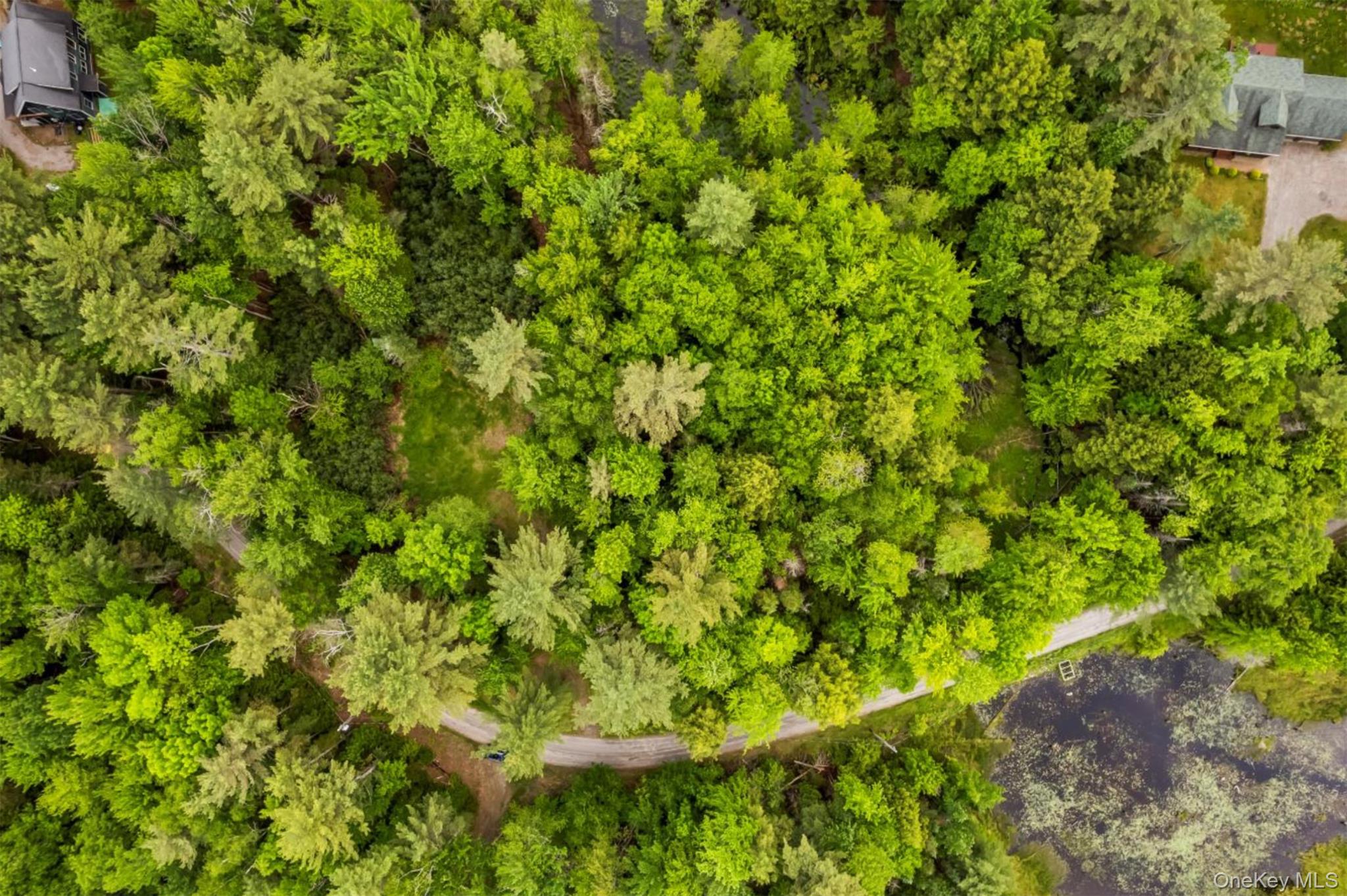 321 Antler Lake Road, Call Listing Agent, NY 12886