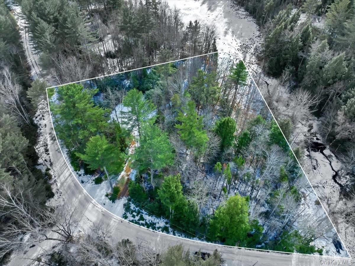 321 Antler Lake Road, Call Listing Agent, NY 12886