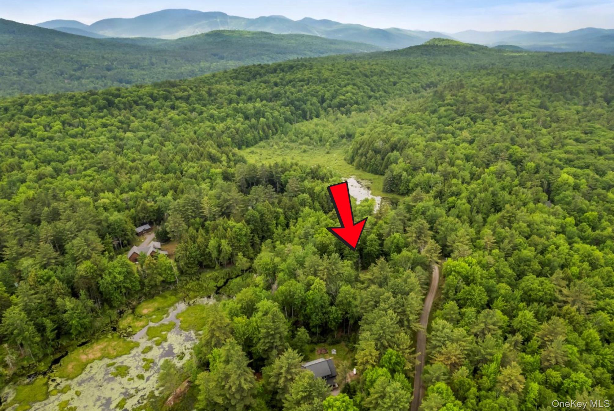 321 Antler Lake Road, Call Listing Agent, NY 12886